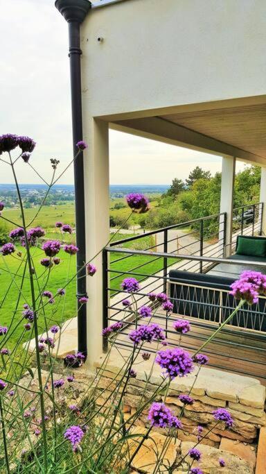 La Maison De L'Ecu : Charme Et Vue Incroyable Beaune (Cote d'Or) Exterior foto