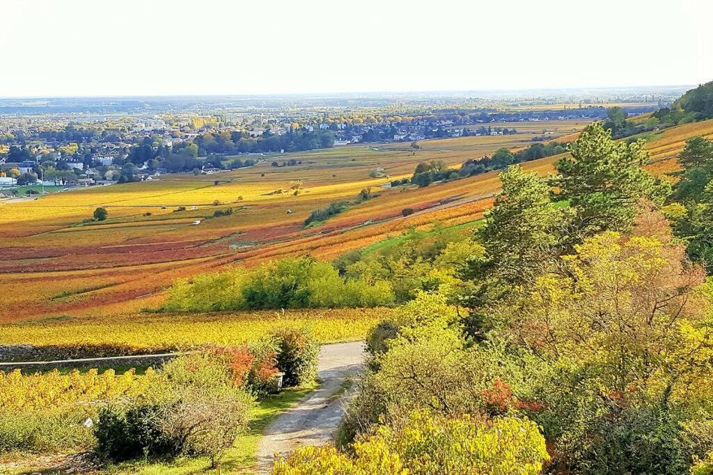 La Maison De L'Ecu : Charme Et Vue Incroyable Beaune (Cote d'Or) Exterior foto