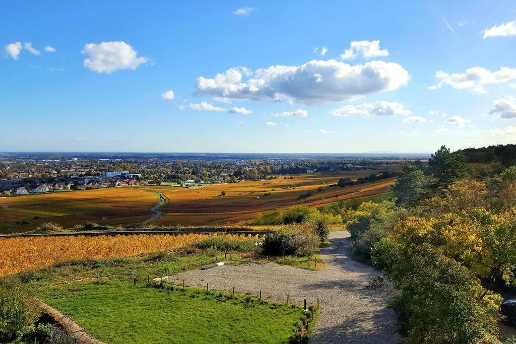 La Maison De L'Ecu : Charme Et Vue Incroyable Beaune (Cote d'Or) Exterior foto